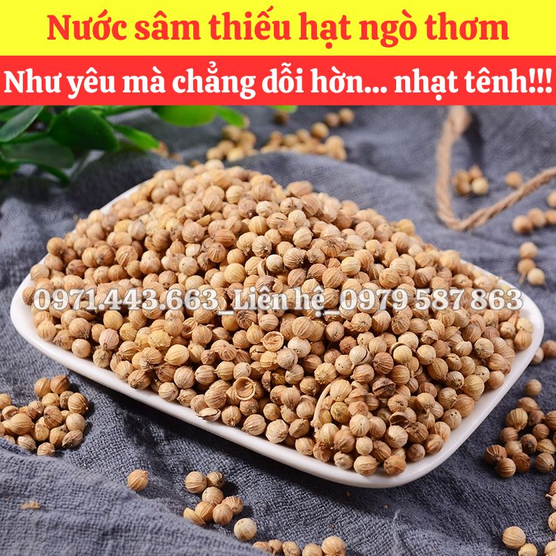 Giá nhập sỉ Hạt ngò nguyên liệu nấu nước sâm