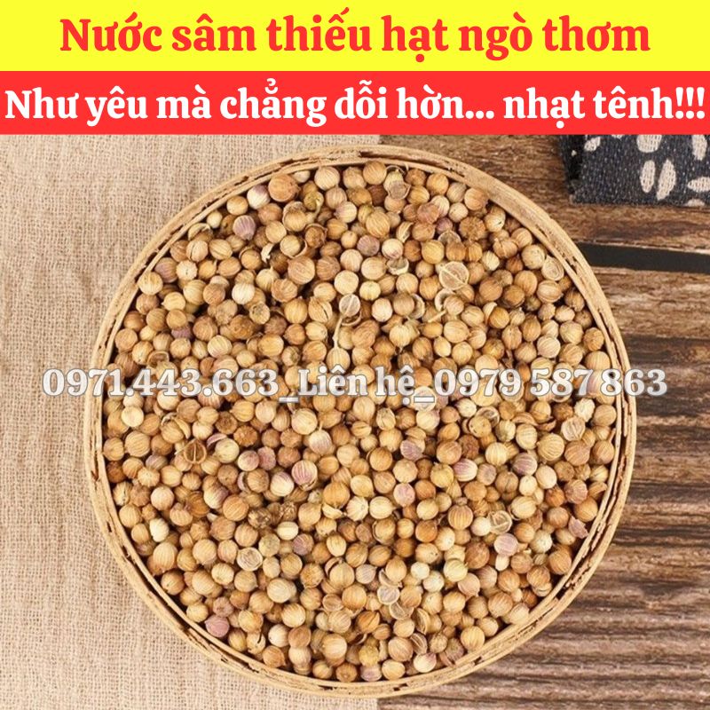 Mua sỉ Hạt ngò nguyên liệu nấu nước sâm tại TP.HCM