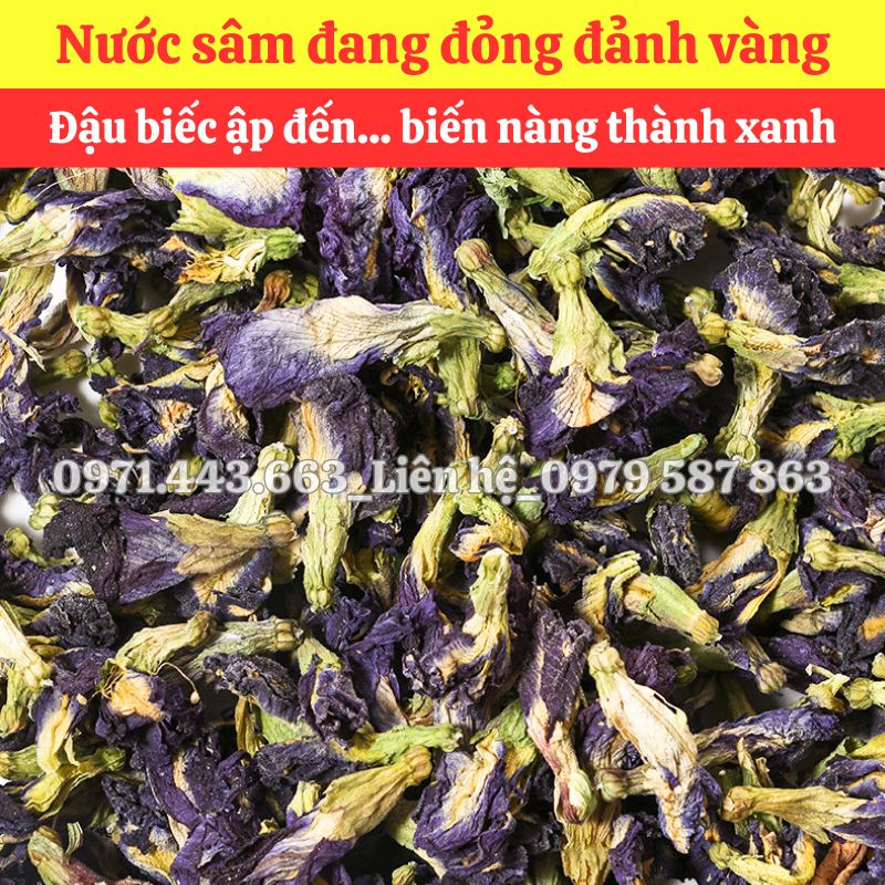 Lợi ích khi chọn mua sỉ hoa đậu biếc tại THAPHACO