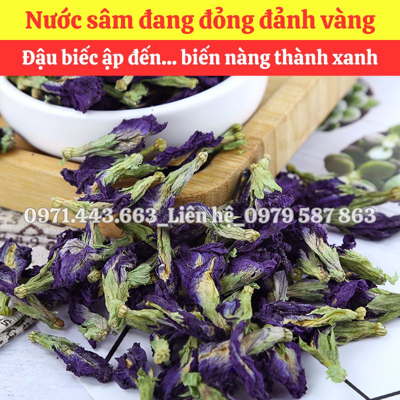 Mua sỉ Hoa đậu biếc nguyên liệu nấu nước sâm tại TP.HCM