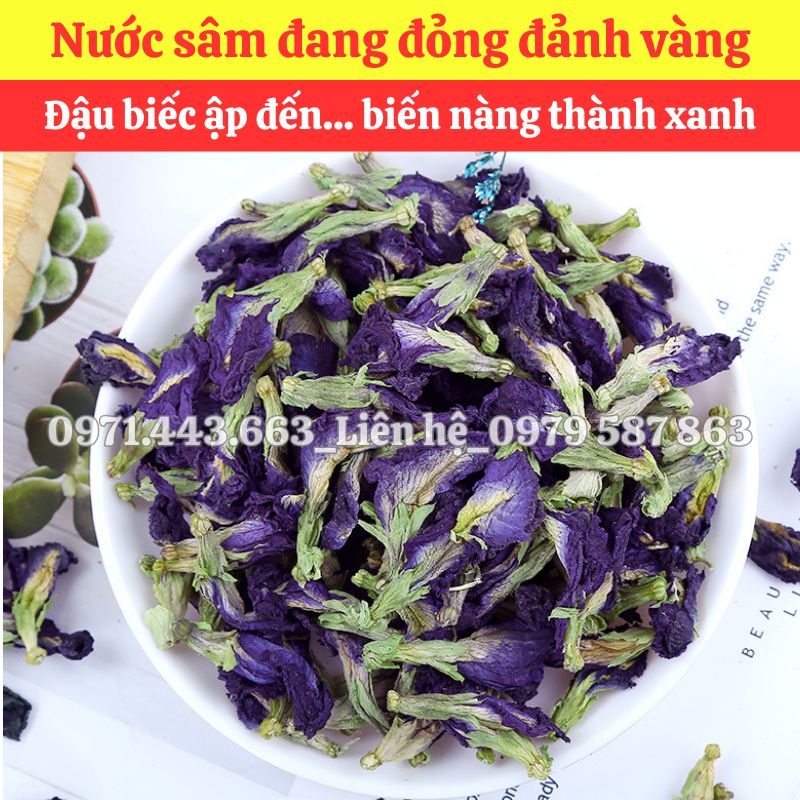 Mua hoa đậu biếc nguyên liệu nấu sâm