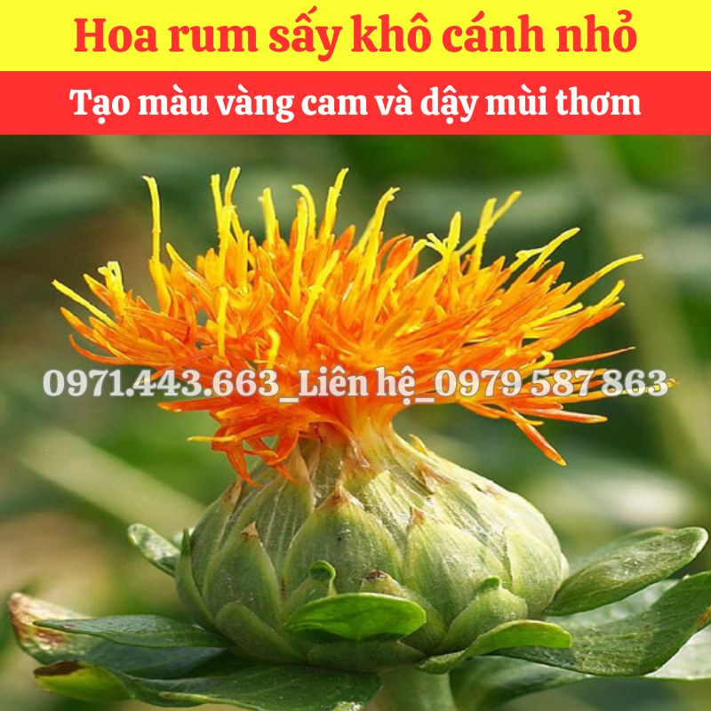 Nơi bán sỉ Hoa rum nguyên liệu nấu nước sâm tại TP.HCM