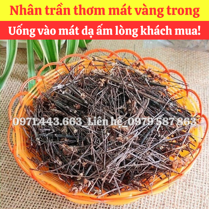 Giá bán sỉ Nhân trần nam nguyên liệu nấu nước sâm