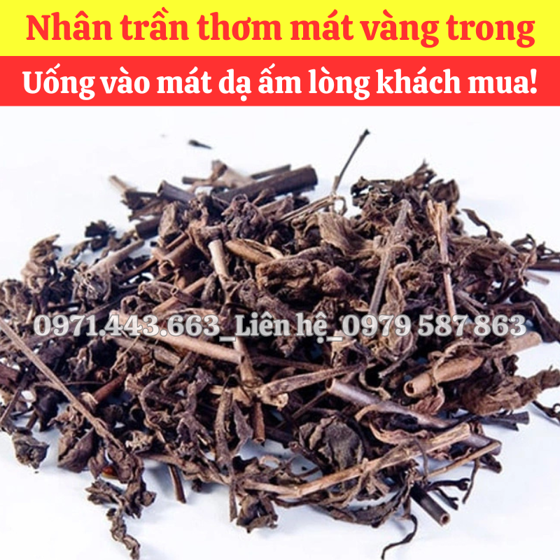 Chính sách chiết khấu khi chọn mua sỉ nhân trần nam