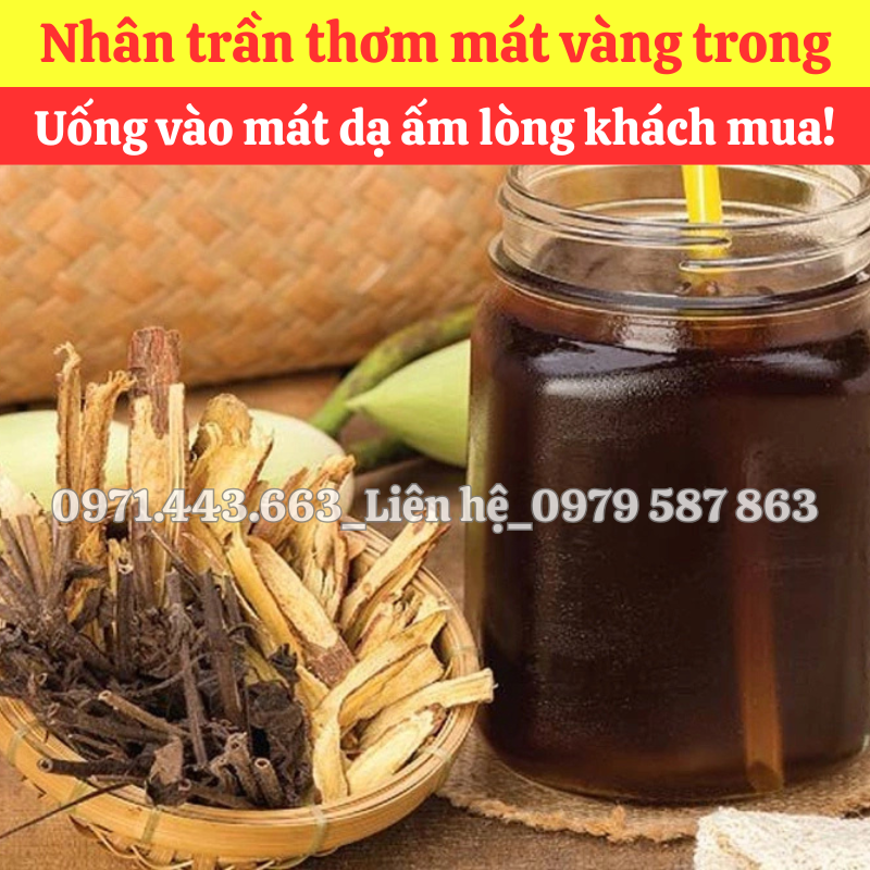 Nơi bán sỉ Nhân trần nam nguyên liệu nấu nước sâm tại TP.HCM