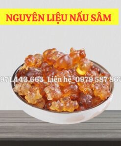 mua nhựa đào nguyên liệu nấu nước sâm giá sỉ tại tp.hcm