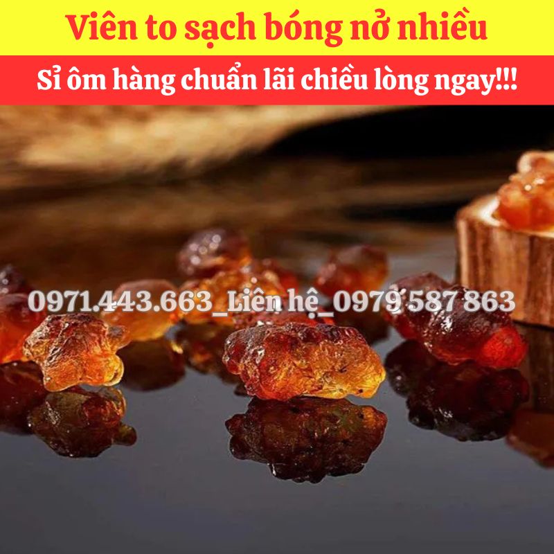 Chính sách chiết khấu khi mua nhựa đào nguyên liệu nấu sâm