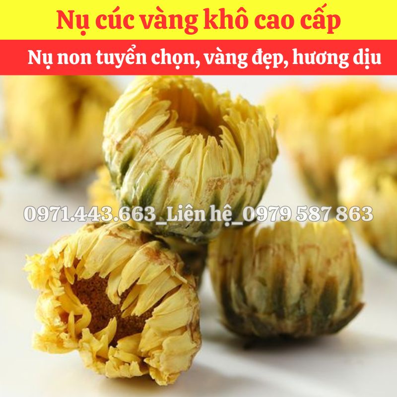 Mua nụ cúc nấu sâm giá sỉ 