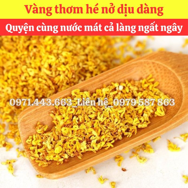 Lợi ích khi chọn mua sỉ quế hoa tại THAPHACO