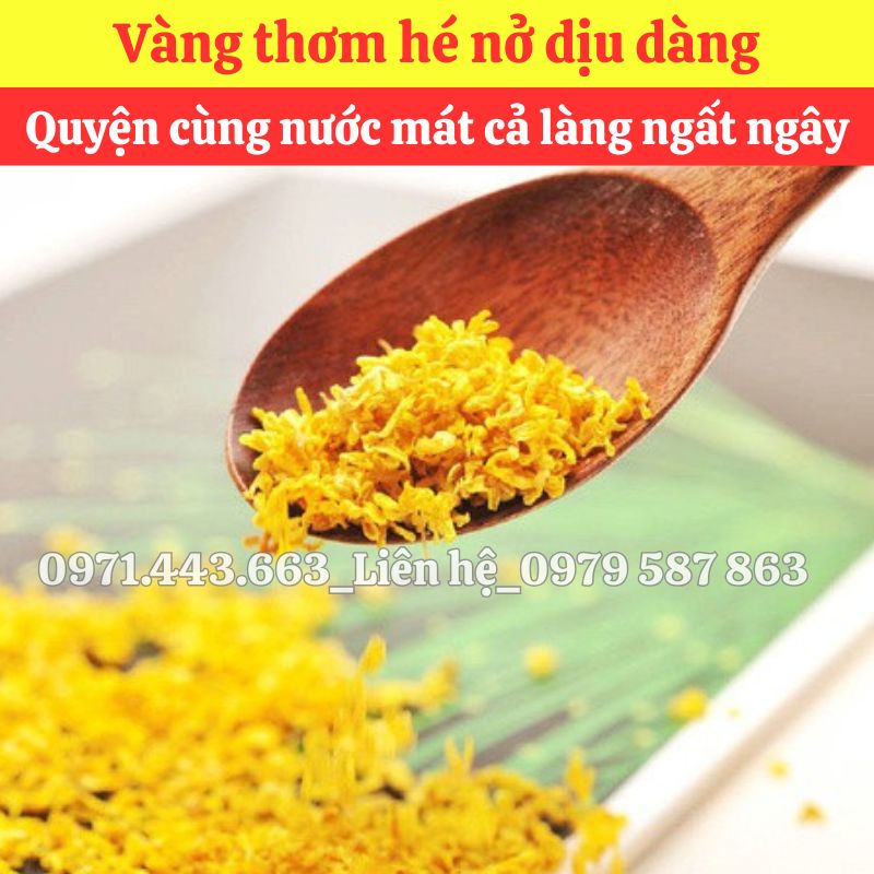 Mua sỉ quế hoa nguyên liệu nấu nước sâm 