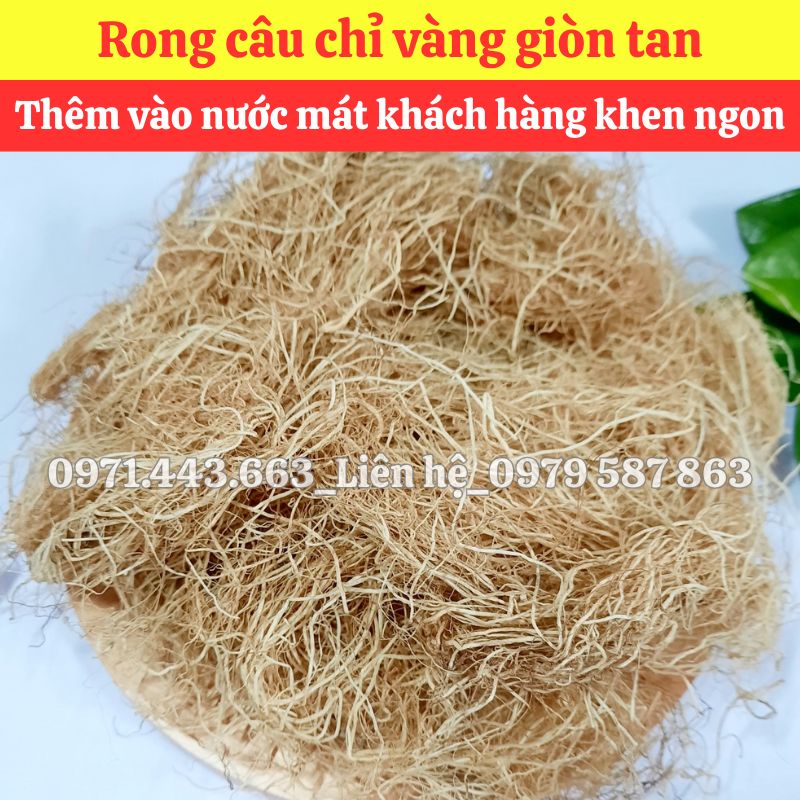Mua sỉ Rong câu chỉ vàng nguyên liệu nấu nước sâm tại TP.HCM