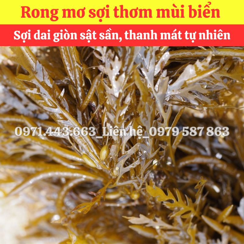 Chính sách bán chỉ rong mơ tại THAPHACO