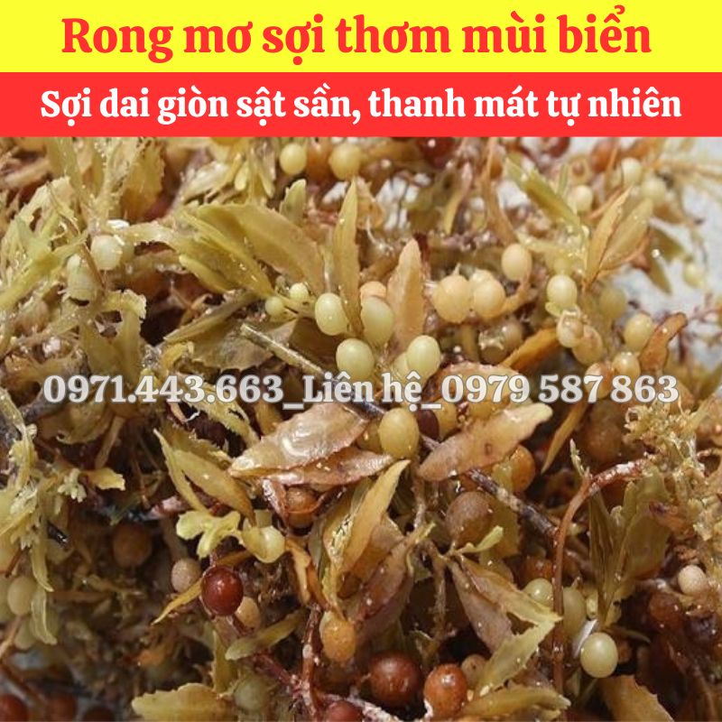 Rong mơ nguyên liệu nấu sâm tại THAPHACO