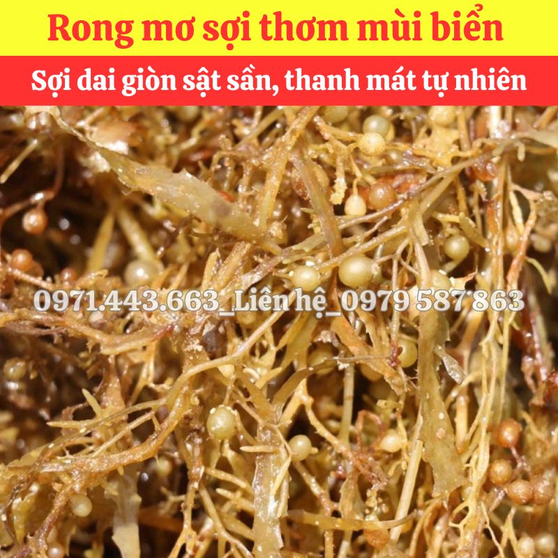 Địa chỉ bán sỉ Rong mơ nguyên liệu nấu nước sâm
