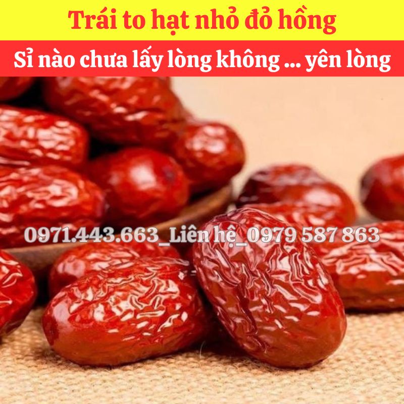 Táo đỏ nguyên liệu nấu sâm tại THAPHACO