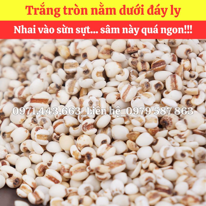Lợi ích khi chọn mua sỉ ý dĩ nấu sâm tại THAPHACO