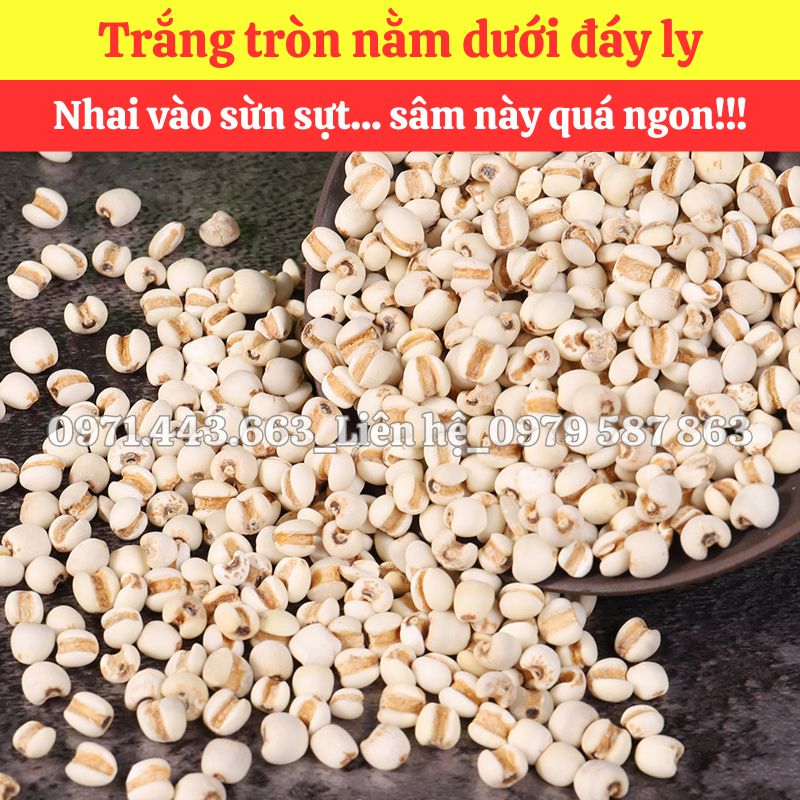 Mua sỉ ý dĩ nguyên liệu nấu nước sâm
