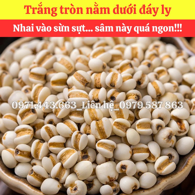 Giá bán sỉ Ý dĩ nấu sâm bí đao 2026