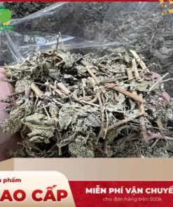 Chè Dây Thảo Dược Thaphaco Chất Lượng Uy Tín Tại TP.HCM