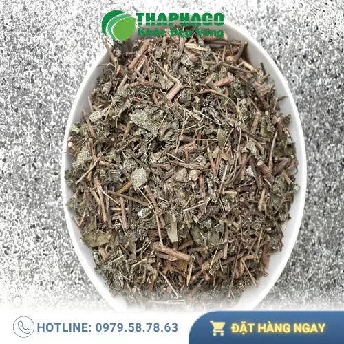 Chè Dây Thaphaco công dụng tốt cho dạ dày