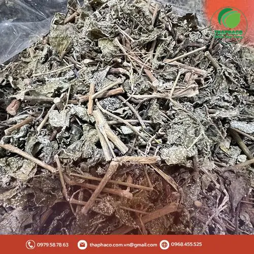 Chè Dây Thaphaco được sấy khô tự nhiên