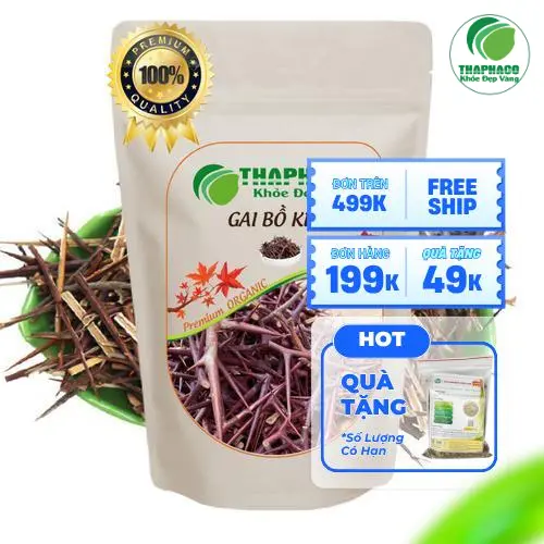 Cận cảnh gai bồ kết THAPHACO khô, sắc nhọn