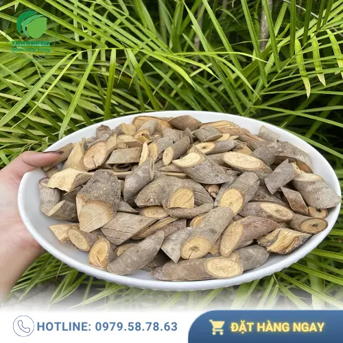 Hình ảnh cây an xoa đã được thái nhỏ và phơi khô