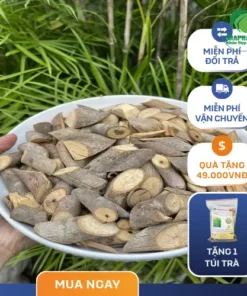 Địa chỉ bán cây an xoa chất lượng tại TP.HCM