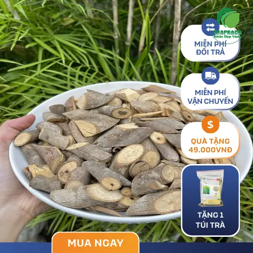 Hình ảnh cây an xoa tại THAPHACO