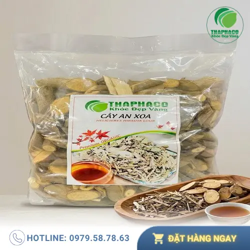 Hình ảnh cây An Xoa tự nhiên tươi tốt