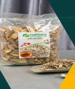 1kg Cây An Xoa Giá Bao Nhiêu? Đánh Giá Tại ThaphaCo