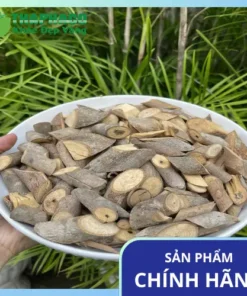 Địa chỉ bán cây an xoa chất lượng tại TP.HCM