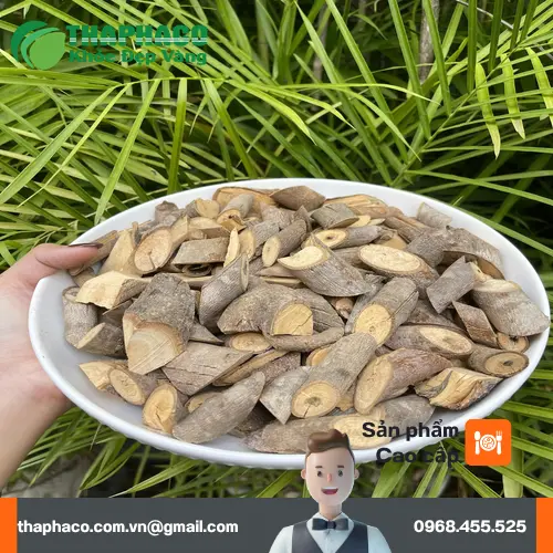 Sản phẩm cây an xoa THAPHACO đóng gói 1kg