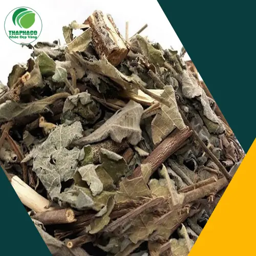 Quy trình kiểm định chất lượng cây an xoa tại THAPHACO