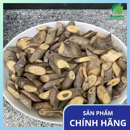 Hình ảnh hiển thị mức giá hấp dẫn và chương trình khuyến mãi của cây an xoa tại THAPHACO.