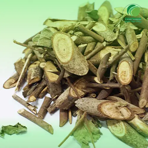 Cây an xoa tươi được thu hái và sơ chế cẩn thận