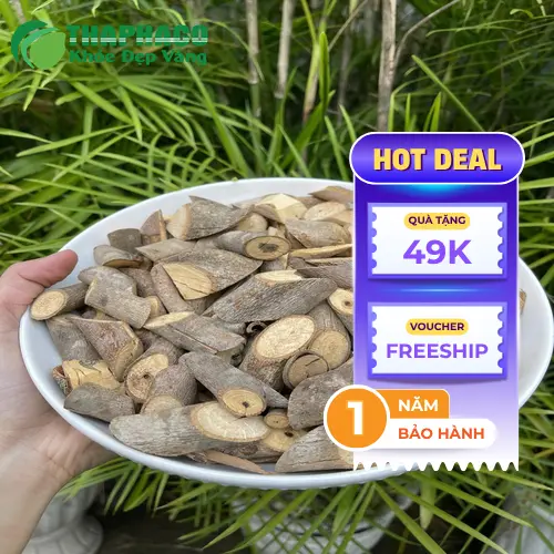 Chính sách freeship khi mua cây an xoa từ 3kg tại THAPHACO