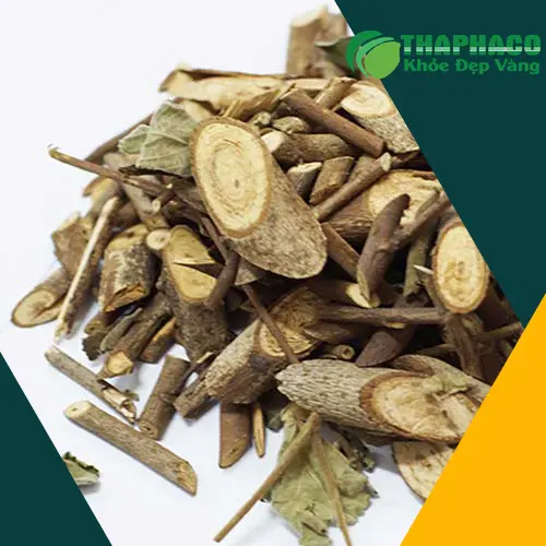 Kho bãi bảo quản an xoa tại THAPHACO