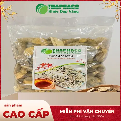 Địa chỉ mua cây an xoa THAPHACO tại Gò Vấp, TP.HCM