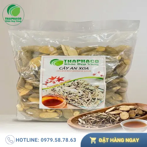 Cây an xoa đã được làm sạch và đóng gói sẵn sàng sử dụng