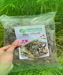 Bạch Đồng Nữ THAPHACO: Giá Bán Lẻ & Hướng Dẫn Sử Dụng Chi Tiết