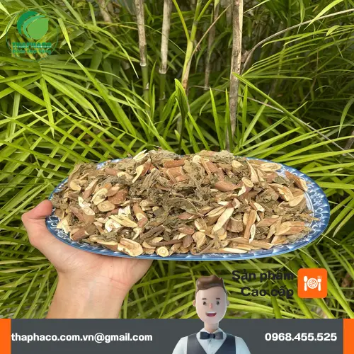 Lá Bạch Đồng Nữ sấy khô, đã được sơ chế sẵn sàng cho việc sử dụng