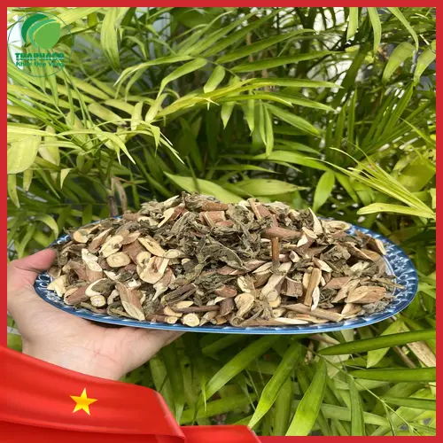 Nguyên liệu Bạch Đồng Nữ khô chuẩn bị pha trà