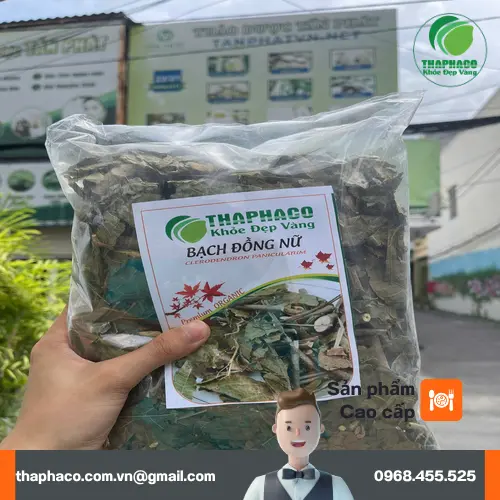 Pha trà bạch đồng nữ chữa viêm da cơ địa