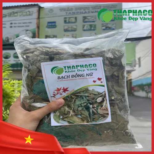 Bạch Đồng Nữ phơi khô và đóng gói chuẩn bị phân phối tại TP.HCM