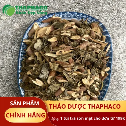 Quy trình đóng gói Bạch Đồng Nữ khô tại nhà máy THAPHACO