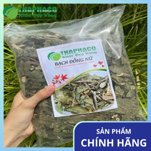Hướng dẫn bảo quản bạch đồng nữ khô