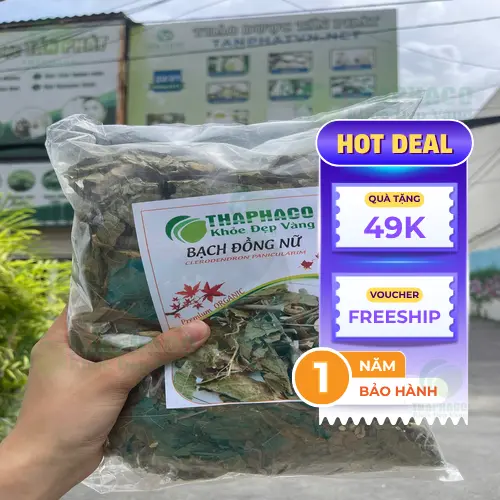 Túi Bạch Đồng Nữ sấy khô 1kg và quà tặng trà sơn mật trong ưu đãi Mua 1 Tặng 1