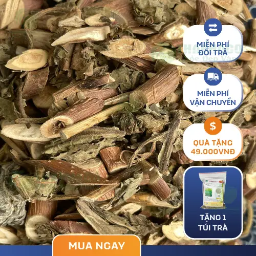Túi Bạch Đồng Nữ khô 1kg của Thảo Dược THAPHACO