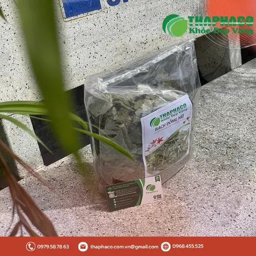 Mua bạch đồng nữ khô chất lượng tại THAPHACO